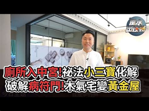 廁所在龍邊怎化解|【風水專家解析】廁所在龍邊怎麼化解？提升事業運、財運，遠離。